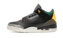 Air Jordan 3 Retro SE Animal Instinct 2.0