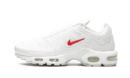 Nike Air Max Plus Supreme White